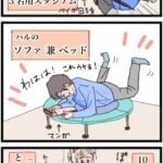 医師との会話と、これから